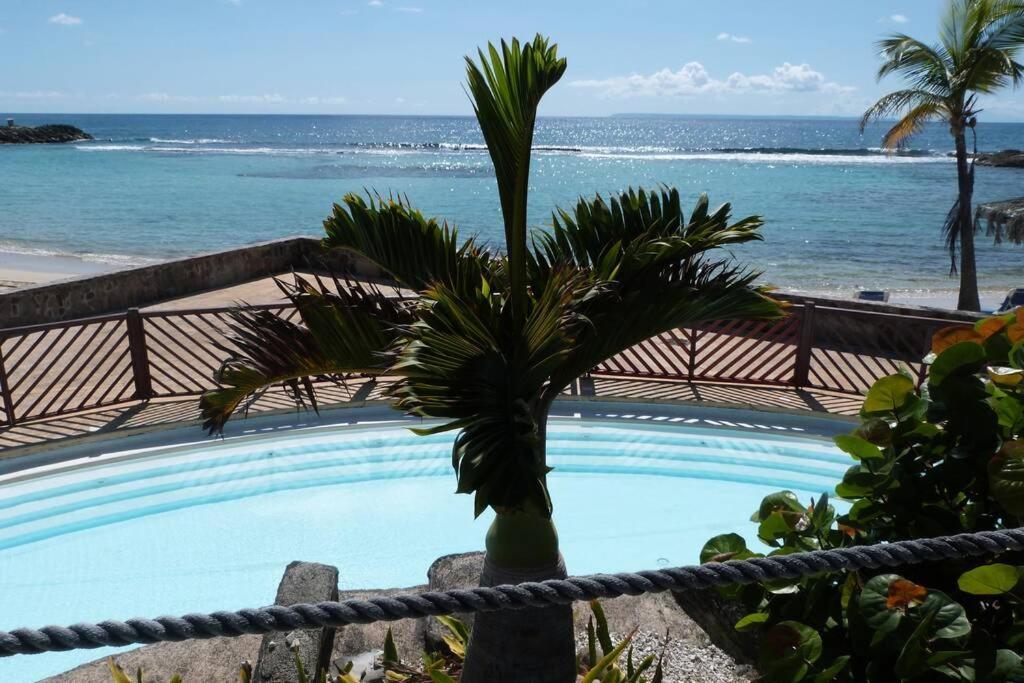 Appartement Ti Kaz Soleil Passion Studio Vue Piscine Et Manganao *