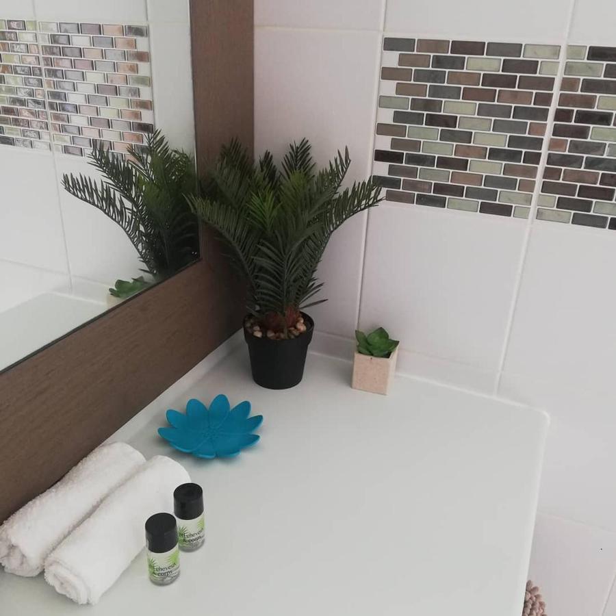 Appartement Ti Kaz Soleil Passion Studio Vue Piscine Et Manganao